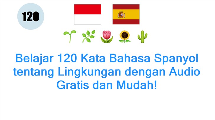 Belajar 120 Kata Bahasa Spanyol tentang Lingkungan dengan Audio Gratis dan Mudah!
